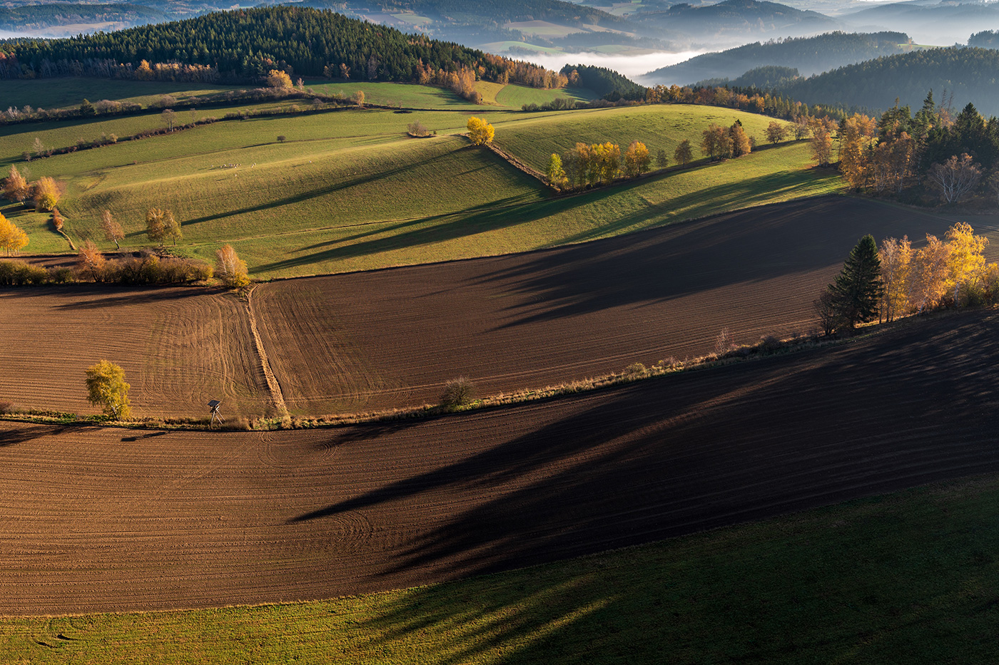 MULCHER MM header image